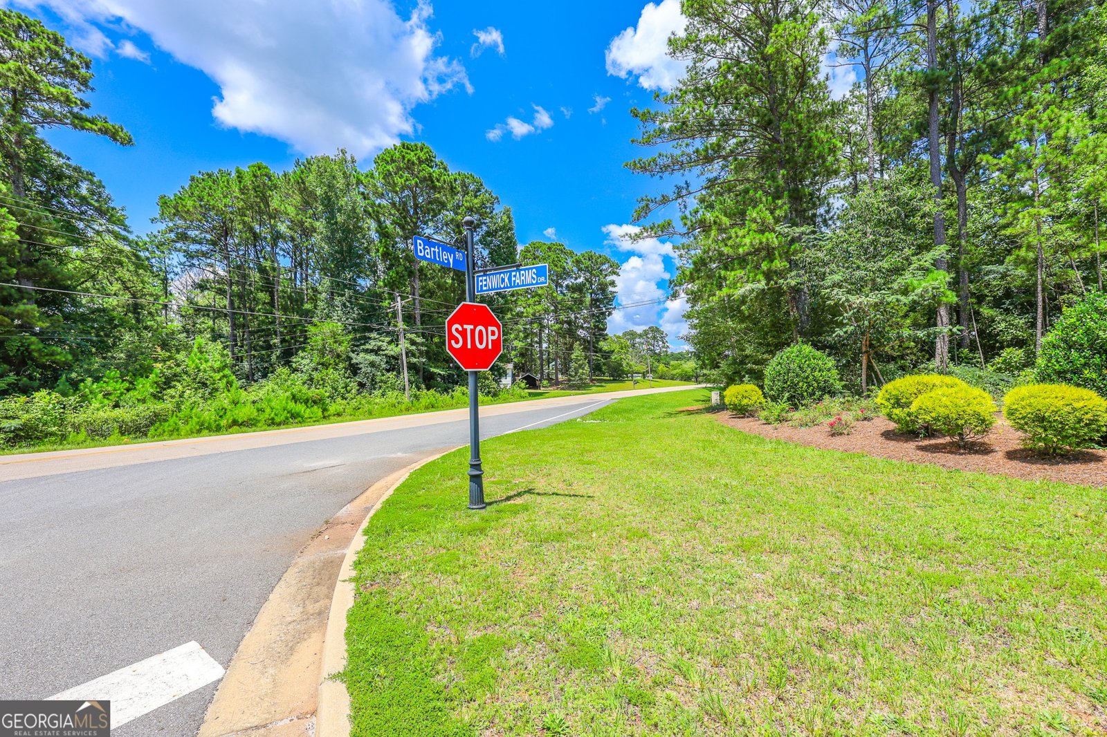 330 Fenwick Farms Drive Lagrange - Photo 112