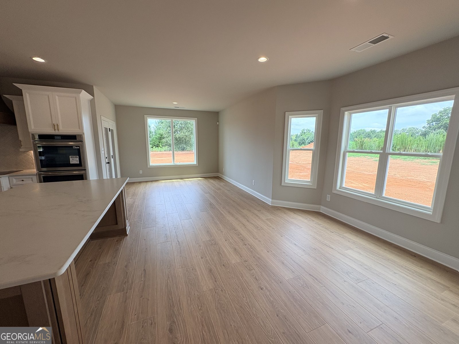 348 Grove Park Lot 21 Senoia - Photo 14