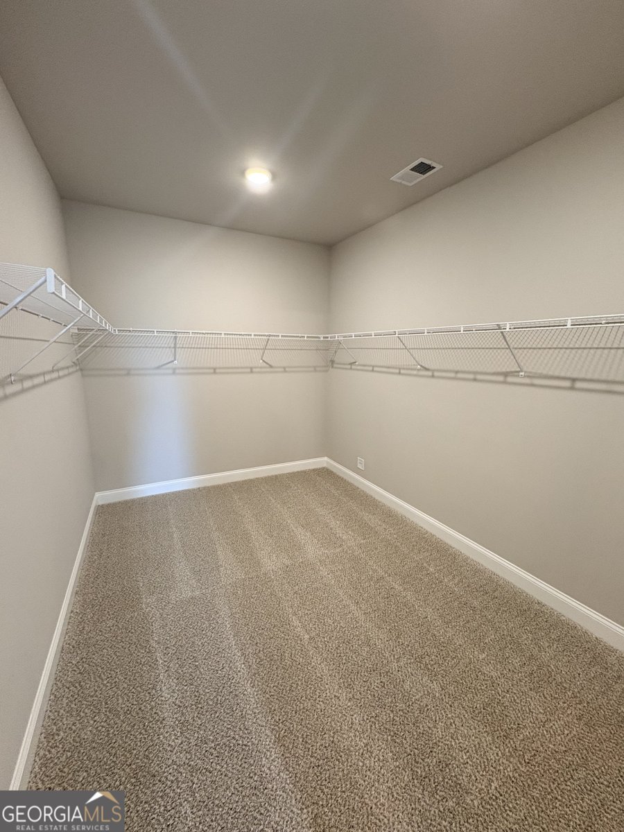 348 Grove Park Lot 21 Senoia - Photo 23