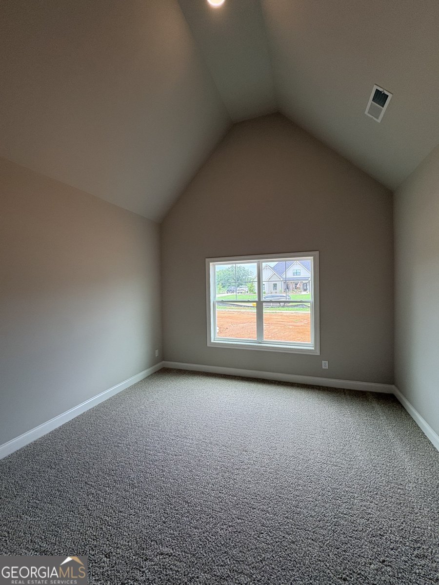 348 Grove Park Lot 21 Senoia - Photo 24