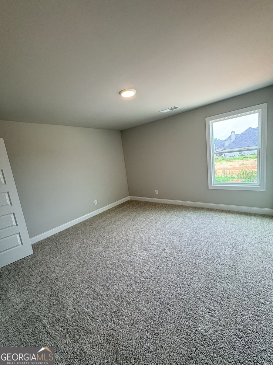 348 Grove Park Lot 21 Senoia - Photo 32