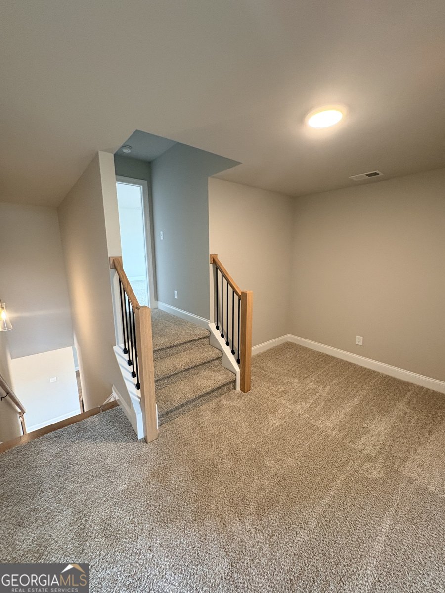 348 Grove Park Lot 21 Senoia - Photo 35