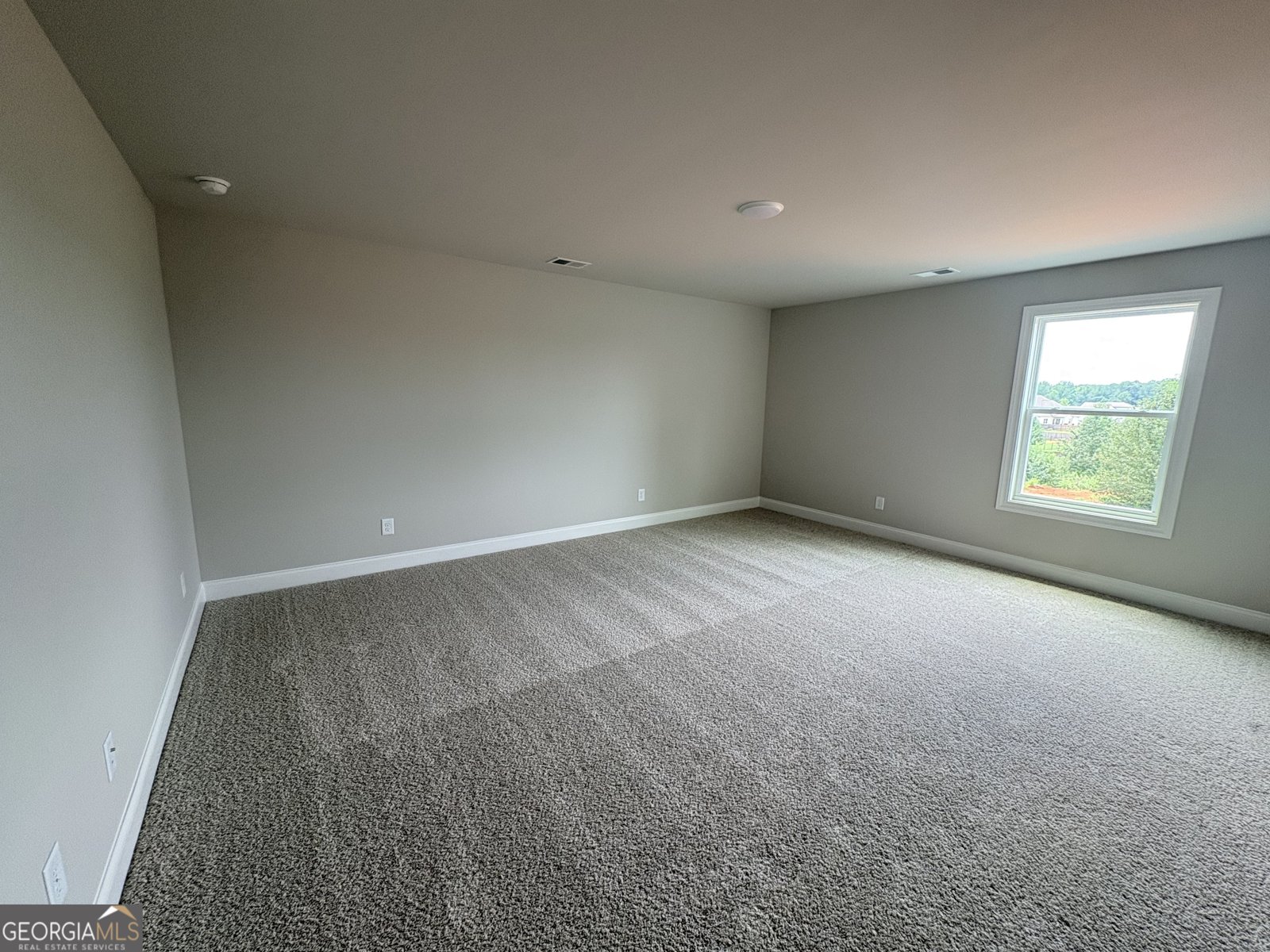 348 Grove Park Lot 21 Senoia - Photo 36