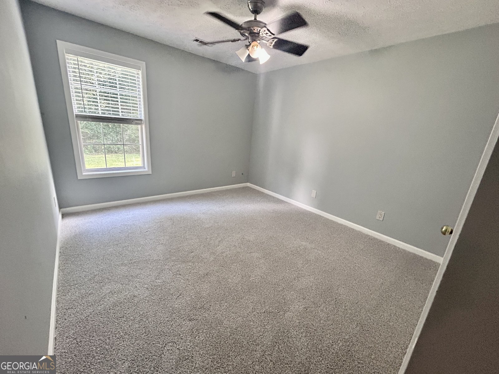 6 Saddlebrook Chase Senoia - Photo 17