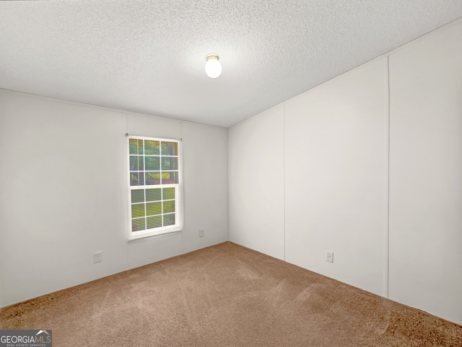 141 Gamecock Way Barnesville - Photo 31