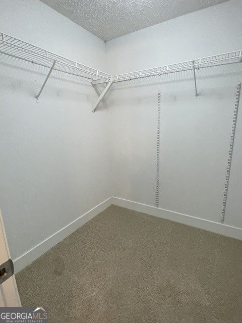852 Pine Shadow Lane Winder - Photo 16