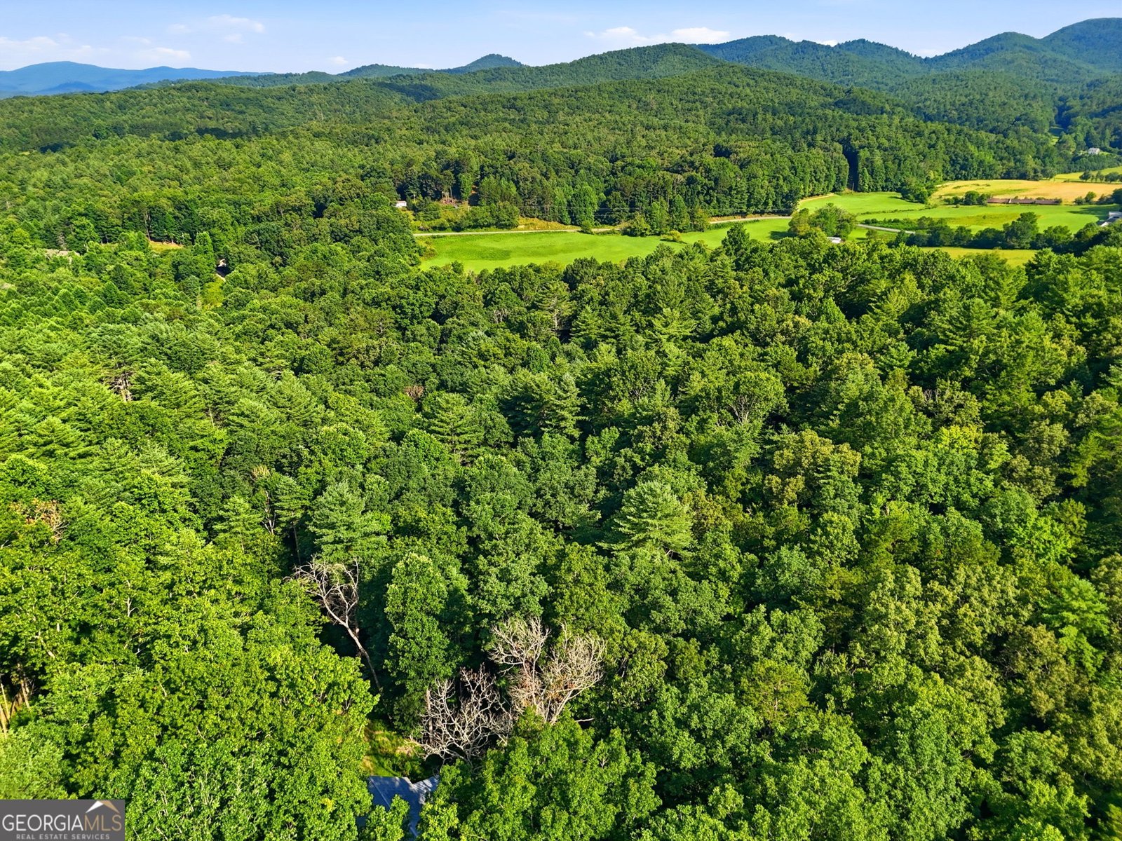 50 Pigeon Creek Road Blue Ridge - Photo 44