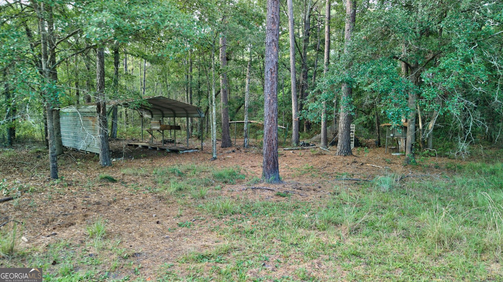 8120 Black Creek Church Road Brooklet - Photo 103