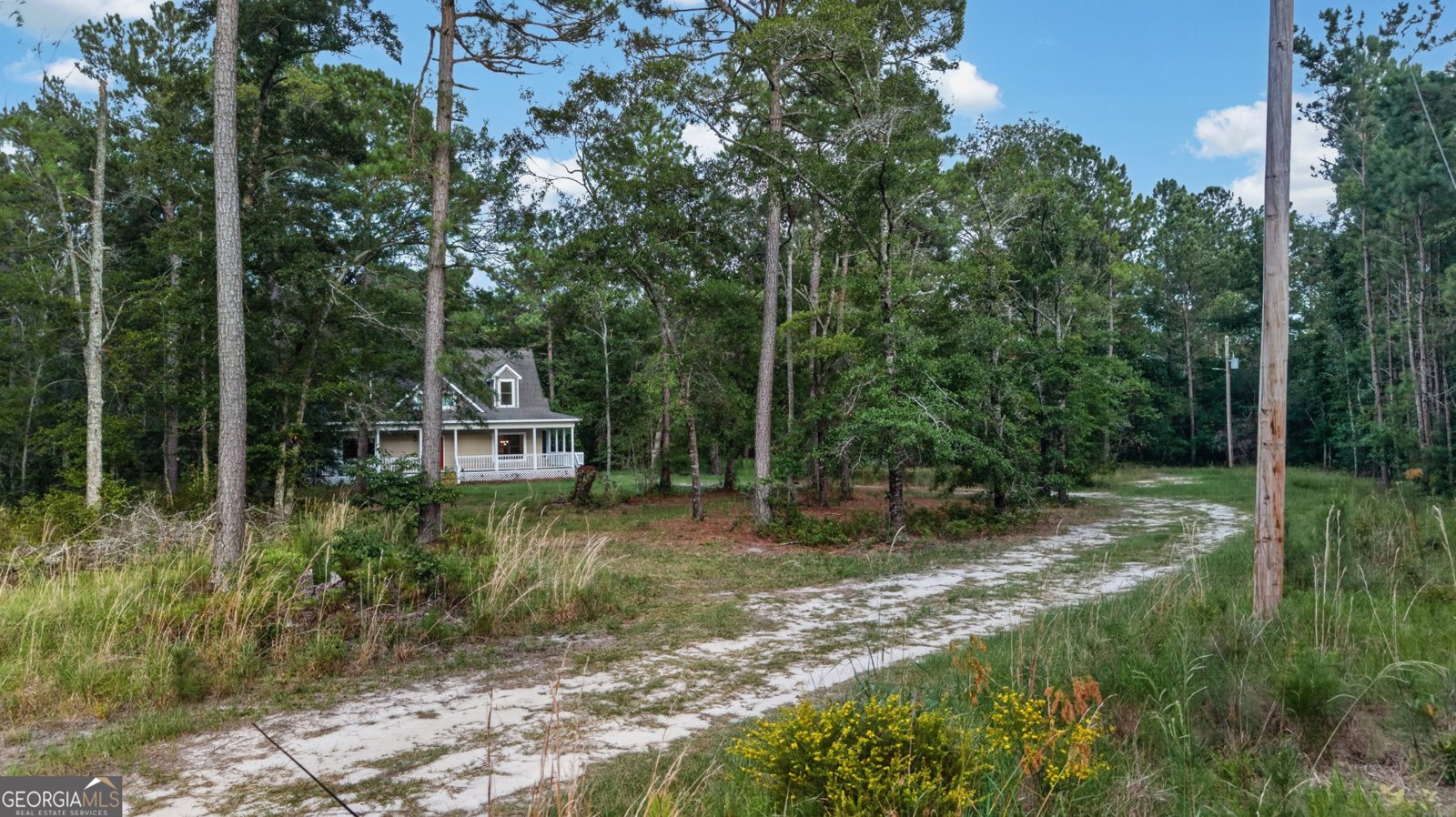 8120 Black Creek Church Road Brooklet - Photo 87