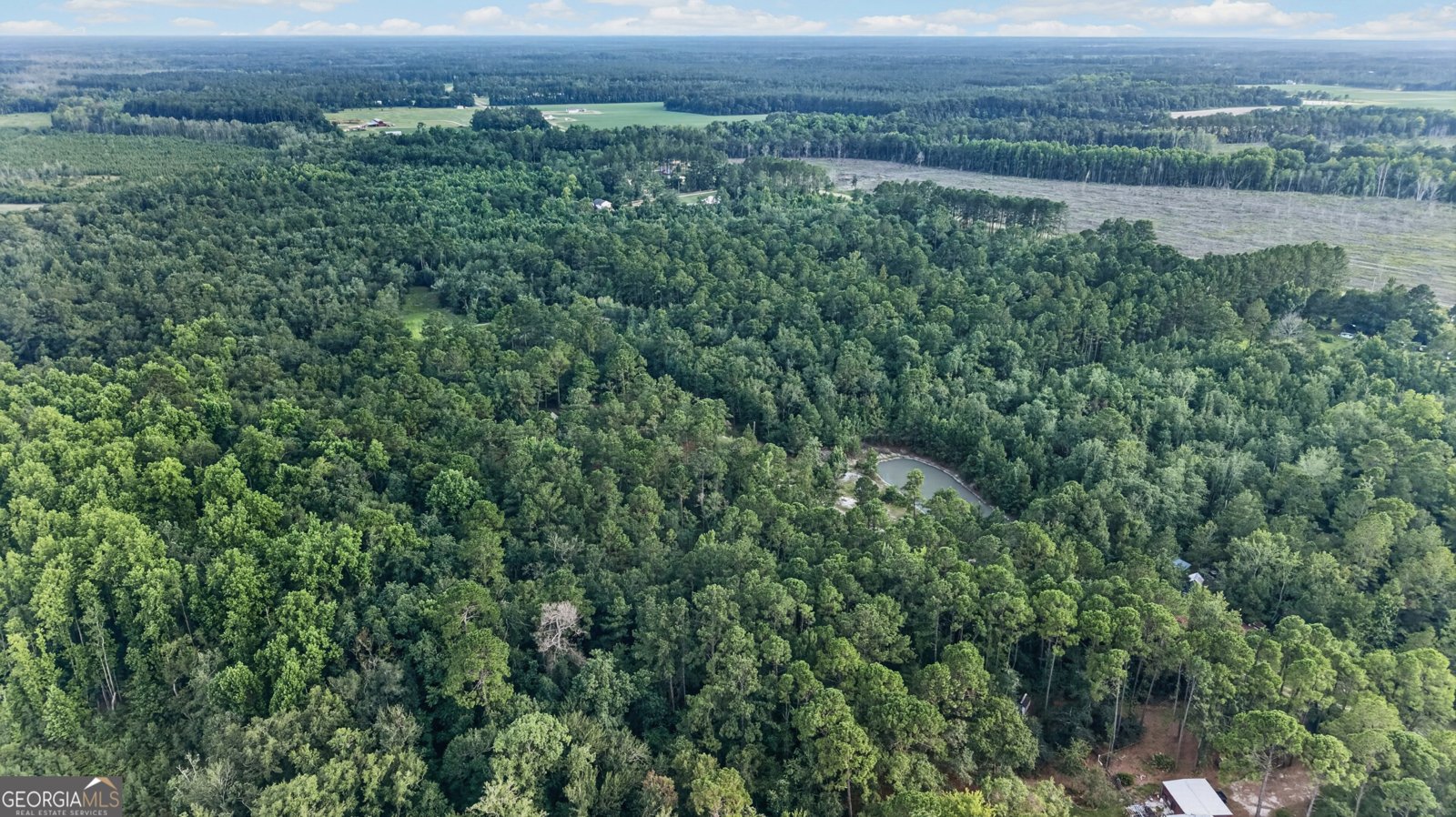 8120 Black Creek Church Road Brooklet - Photo 94