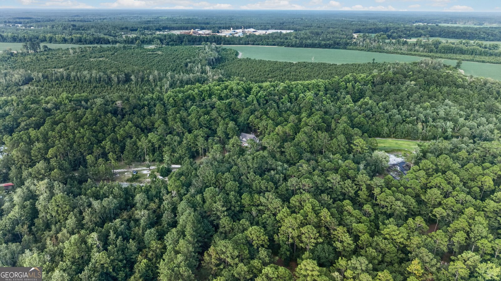 8120 Black Creek Church Road Brooklet - Photo 97