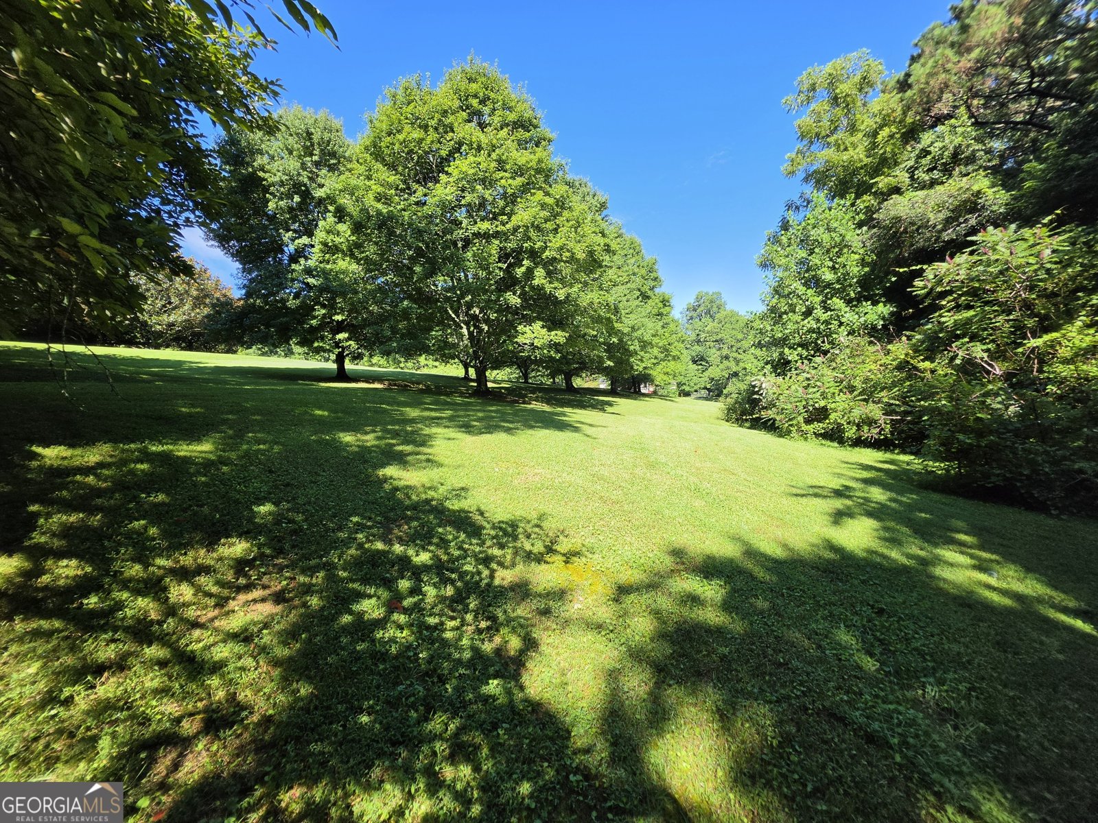 437 Lumber Company Road Talking Rock - Photo 37