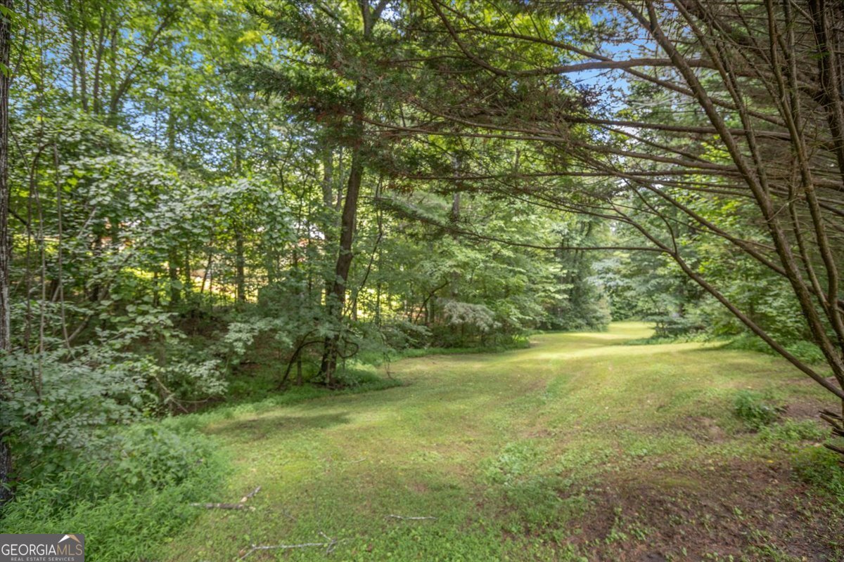 437 Lumber Company Road Talking Rock - Photo 49