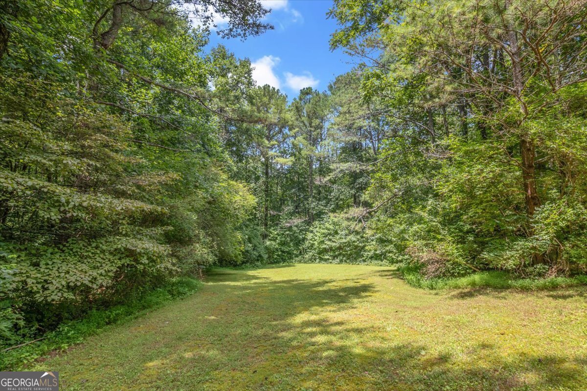 437 Lumber Company Road Talking Rock - Photo 55