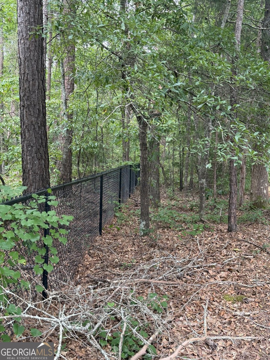 114 Brushy Creek Lane Jackson - Photo 43