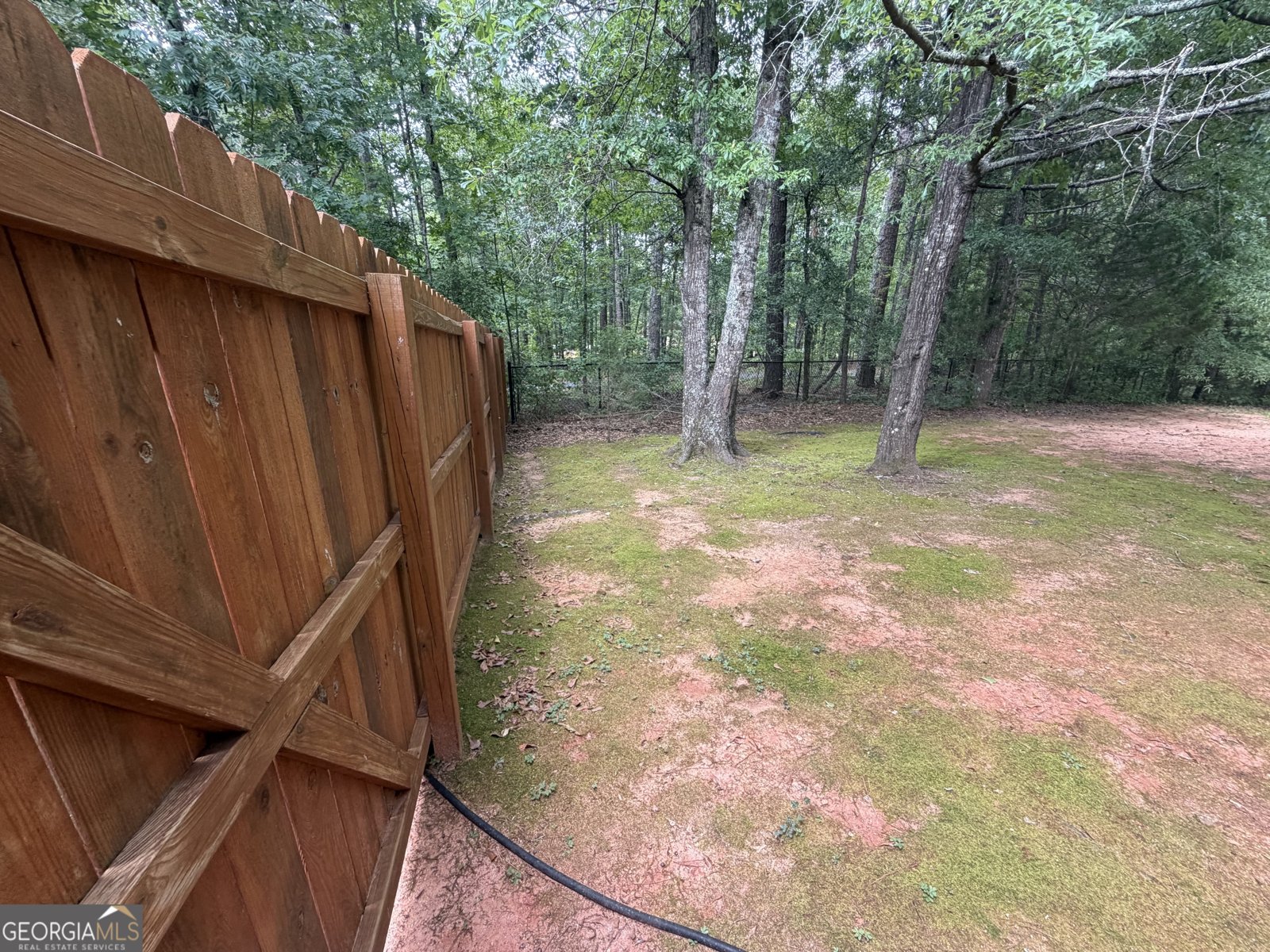 114 Brushy Creek Lane Jackson - Photo 44