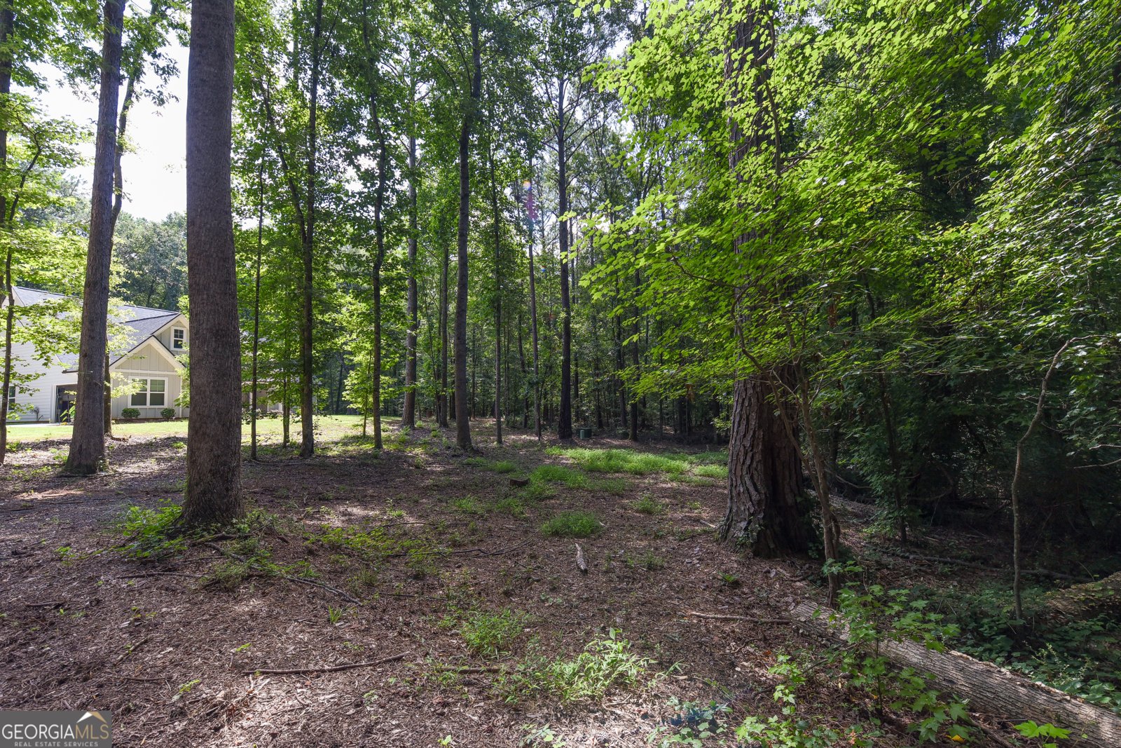 4668 Gordon Road Senoia - Photo 17