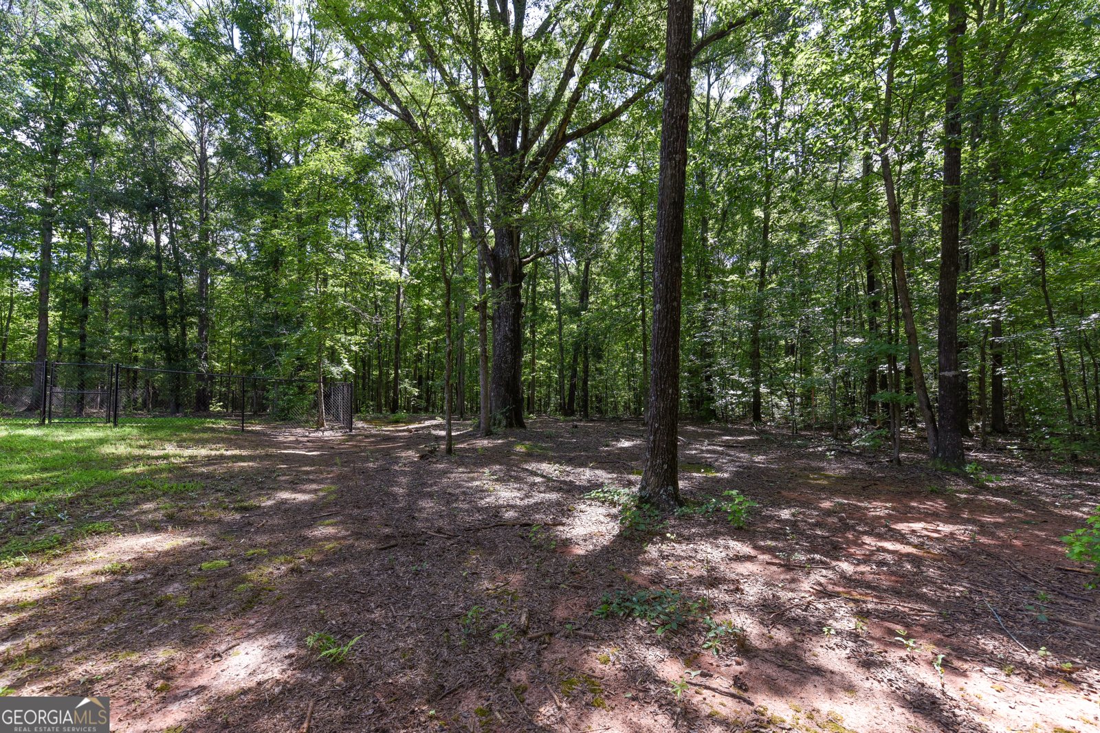 4668 Gordon Road Senoia - Photo 20