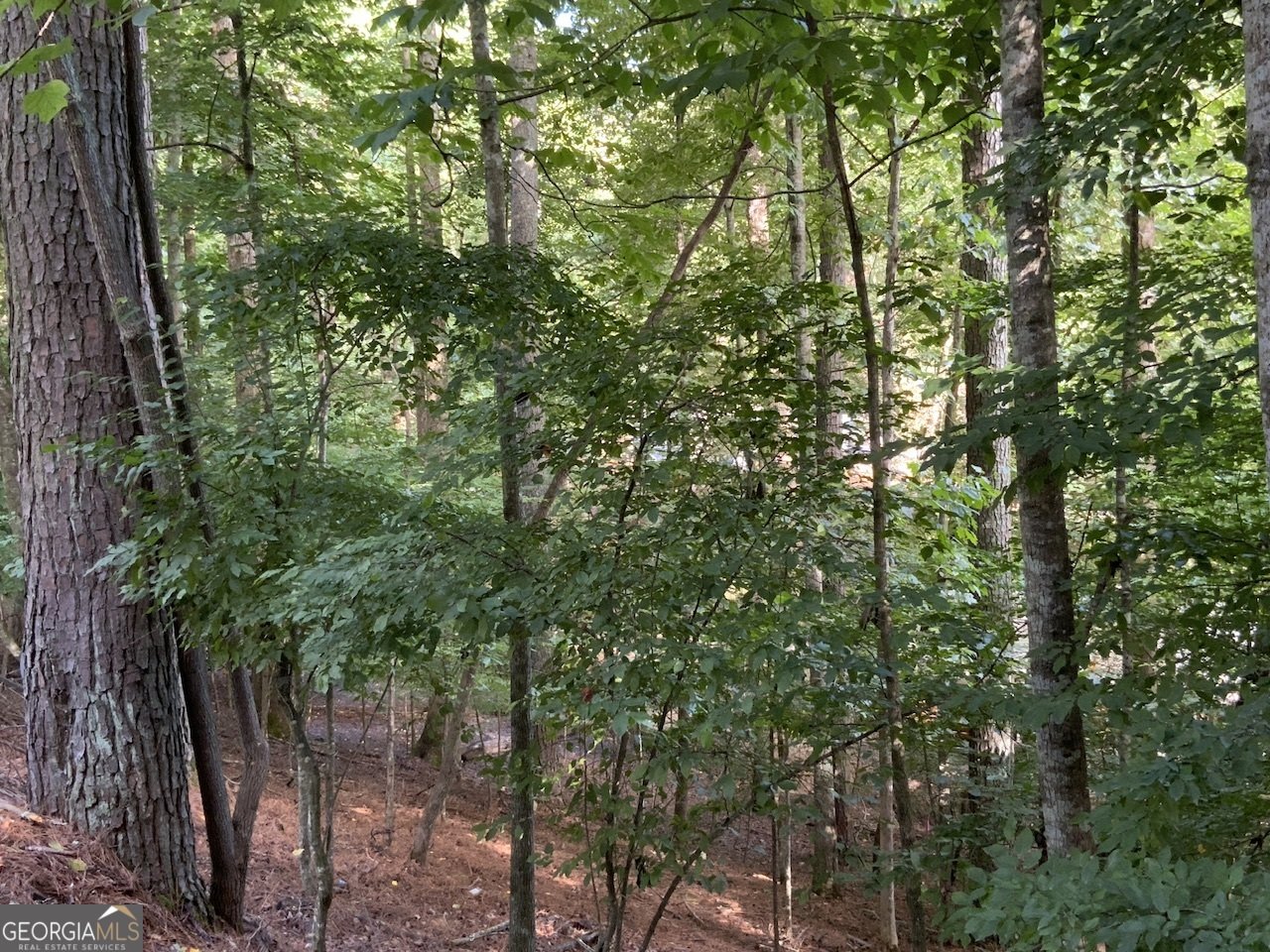 176 14Th Street Ellijay - Photo 13
