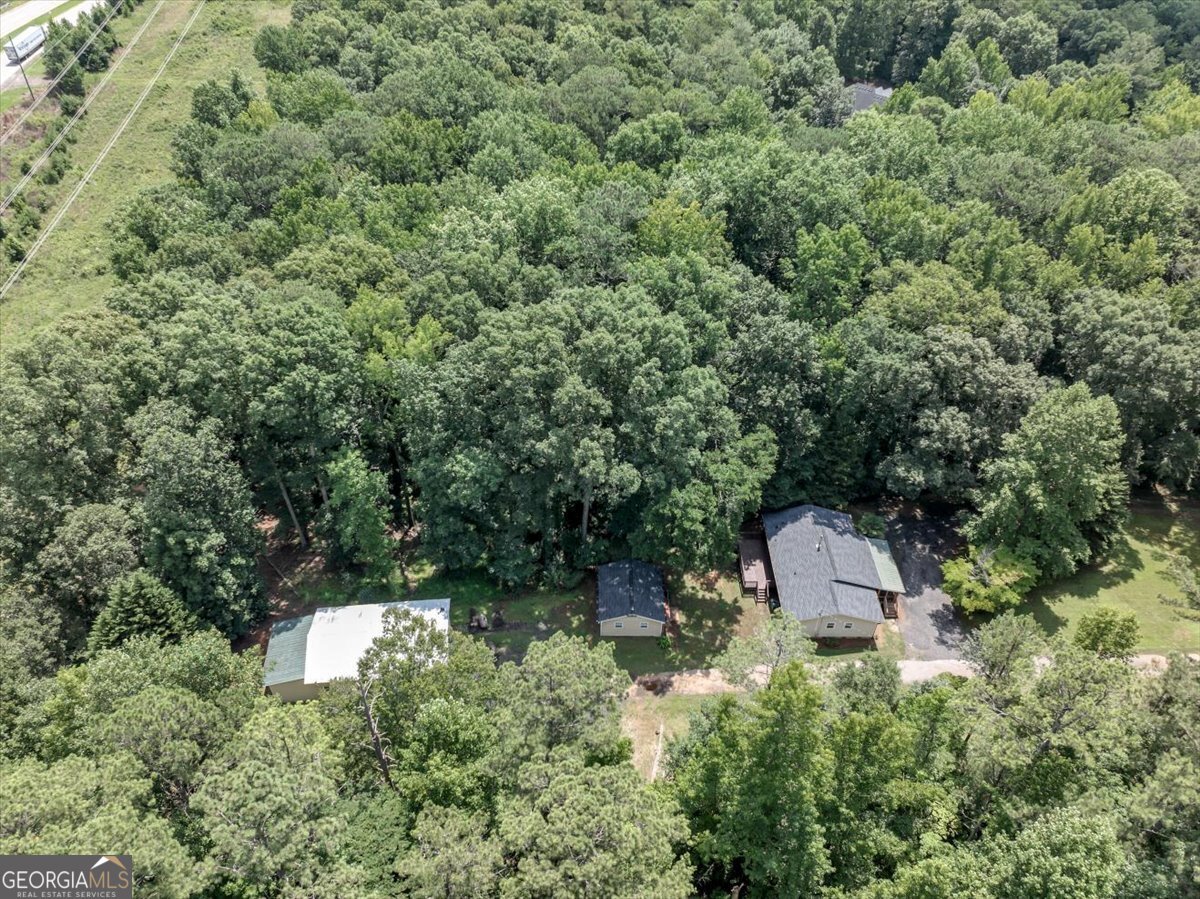 400 Wyldewoode Drive McDonough - Photo 53