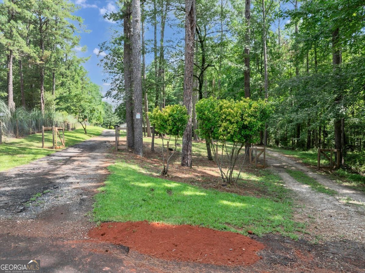 400 Wyldewoode Drive McDonough - Photo 6