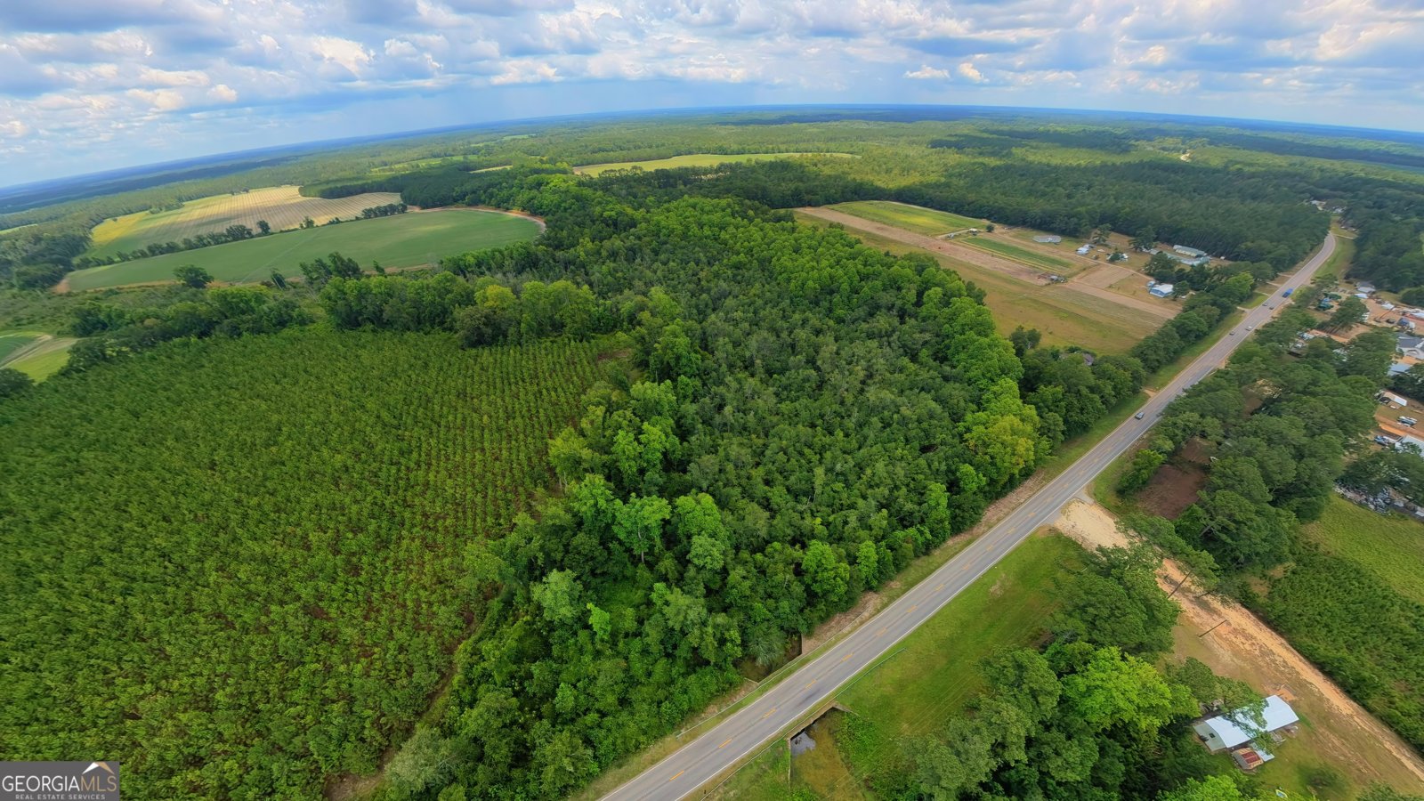 10600 Us Highway 80 Brooklet - Photo 11