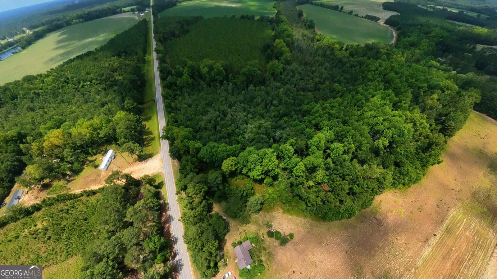 10600 Us Highway 80 Brooklet - Photo 12