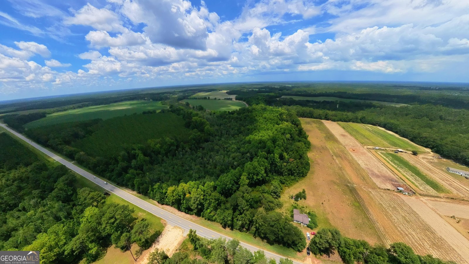 10600 Us Highway 80 Brooklet - Photo 13