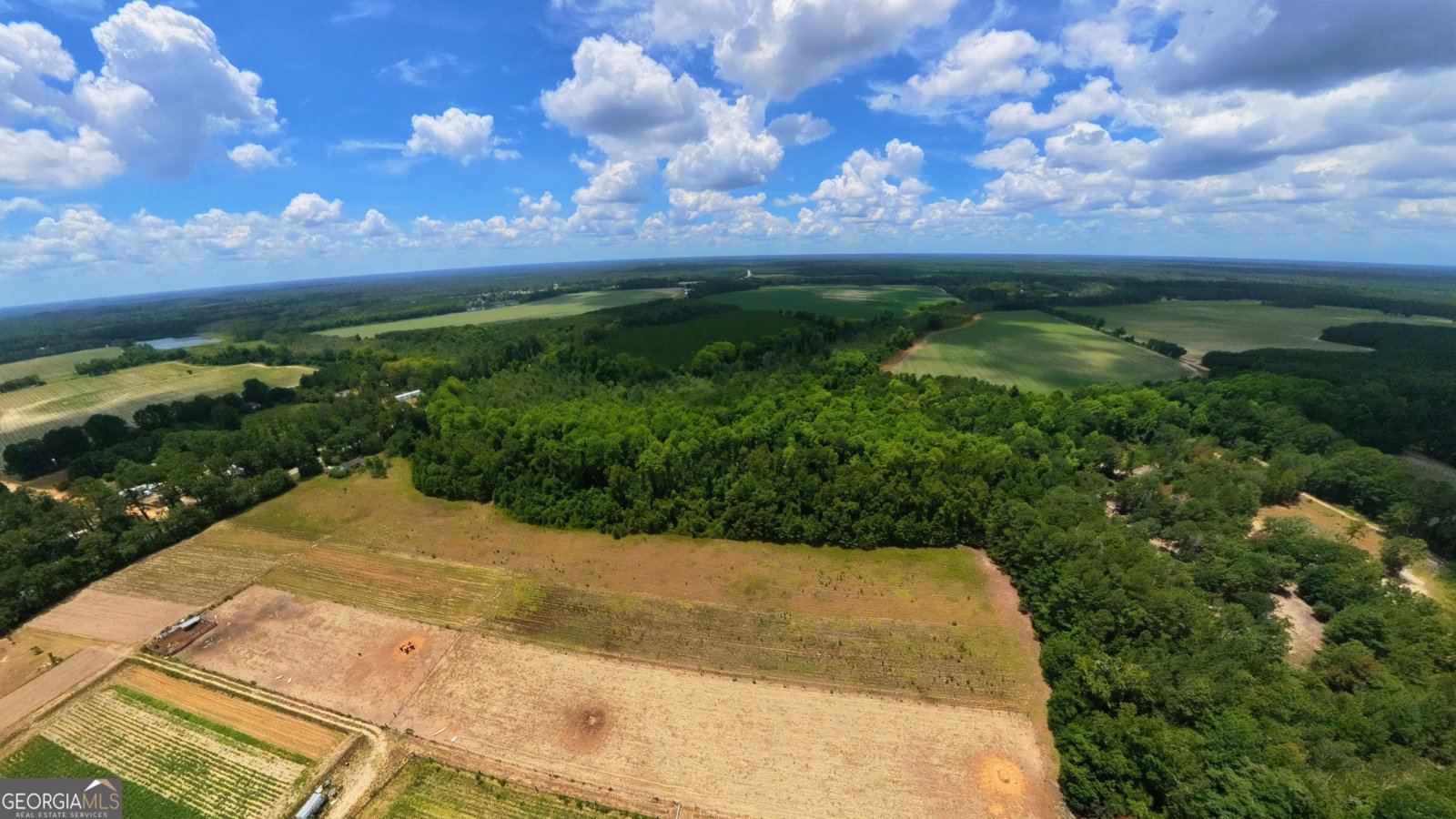10600 Us Highway 80 Brooklet - Photo 14