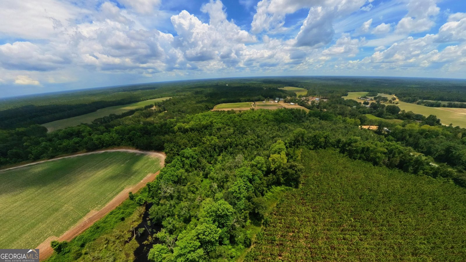 10600 Us Highway 80 Brooklet - Photo 16