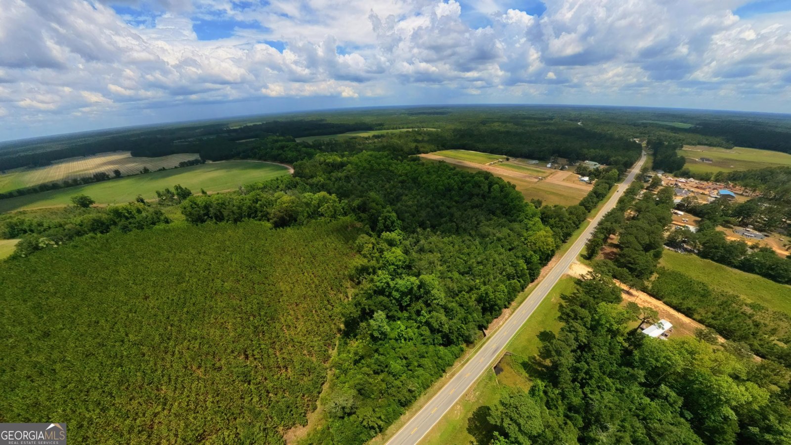 10600 Us Highway 80 Brooklet - Photo 17