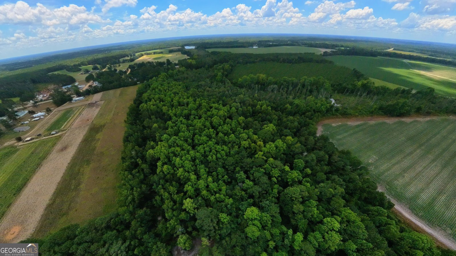 10600 Us Highway 80 Brooklet - Photo 7