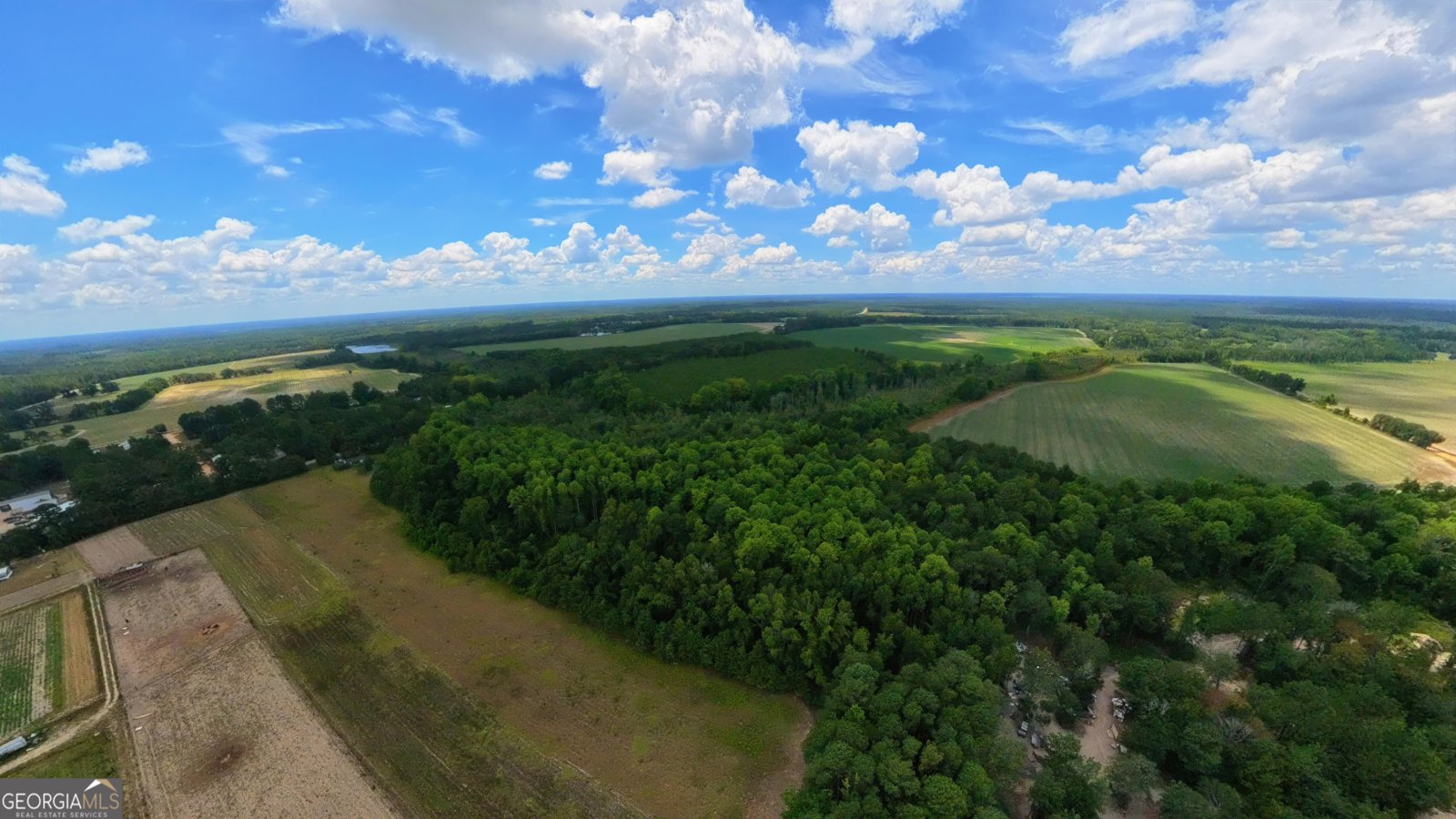 10600 Us Highway 80 Brooklet - Photo 8
