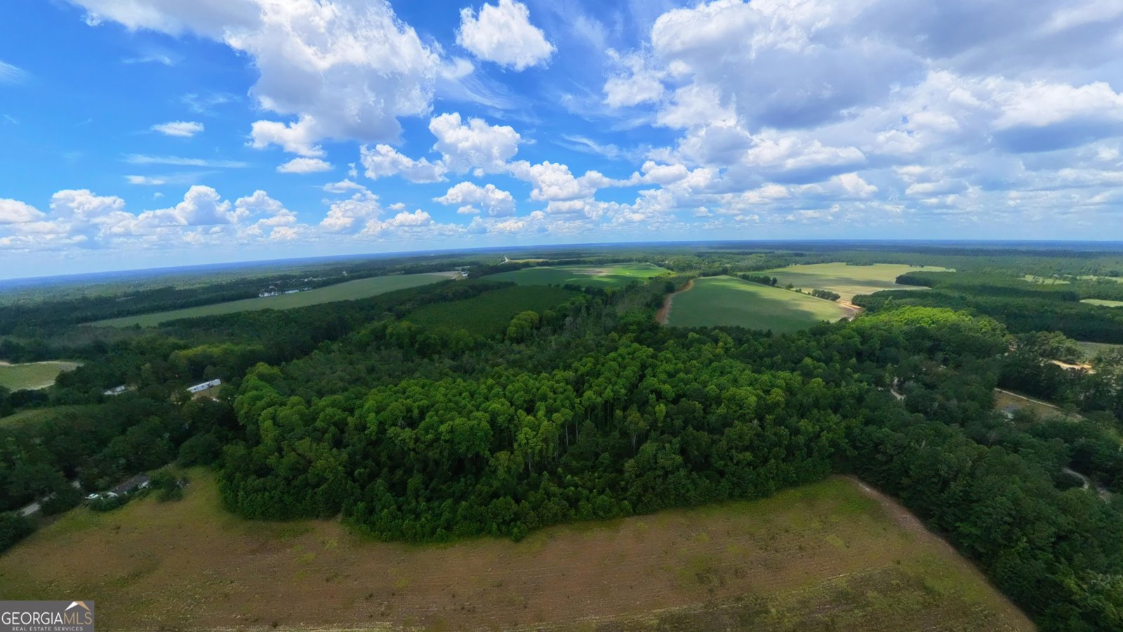 10600 Us Highway 80 Brooklet - Photo 9