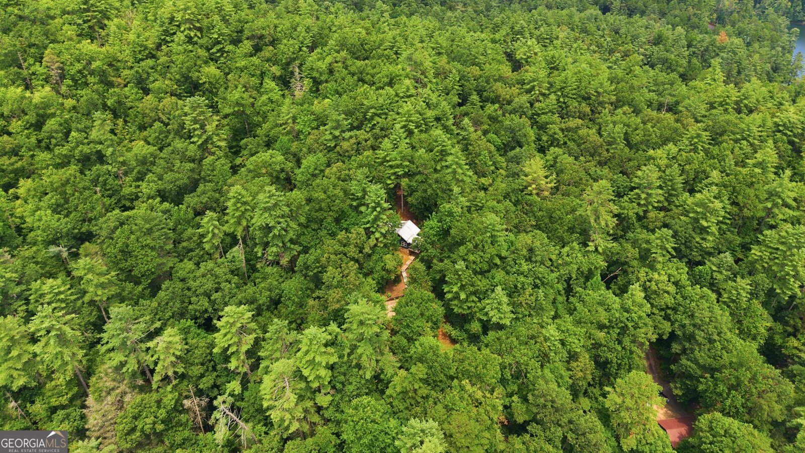 6174 Crow Creek Road Lakemont - Photo 31