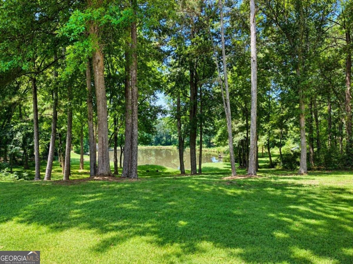 2390 Greensboro Highway Watkinsville - Photo 47
