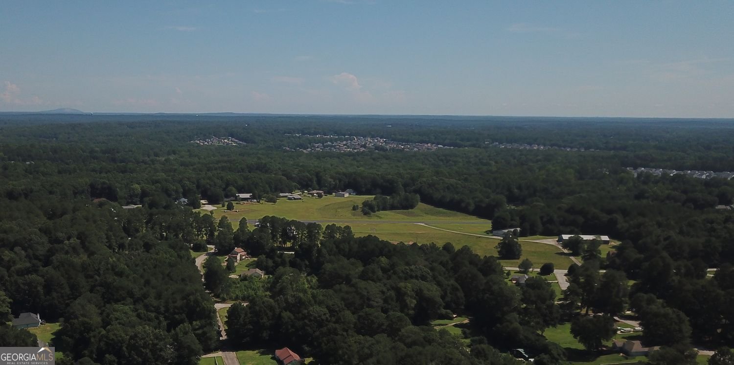 165 Water View Drive Stockbridge - Photo 50