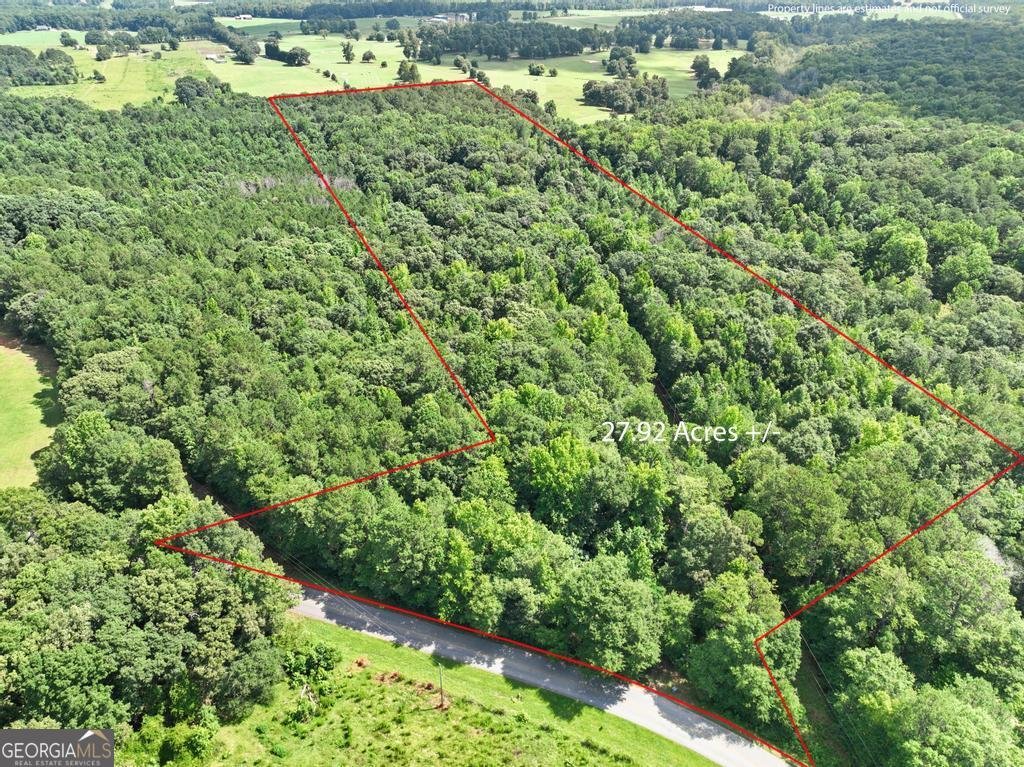 151 Evans Road Milner - Photo 8