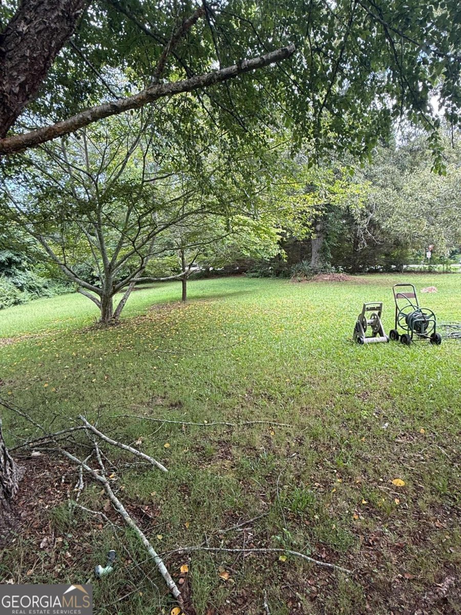 15 Clem Lowell Road Carrollton - Photo 30