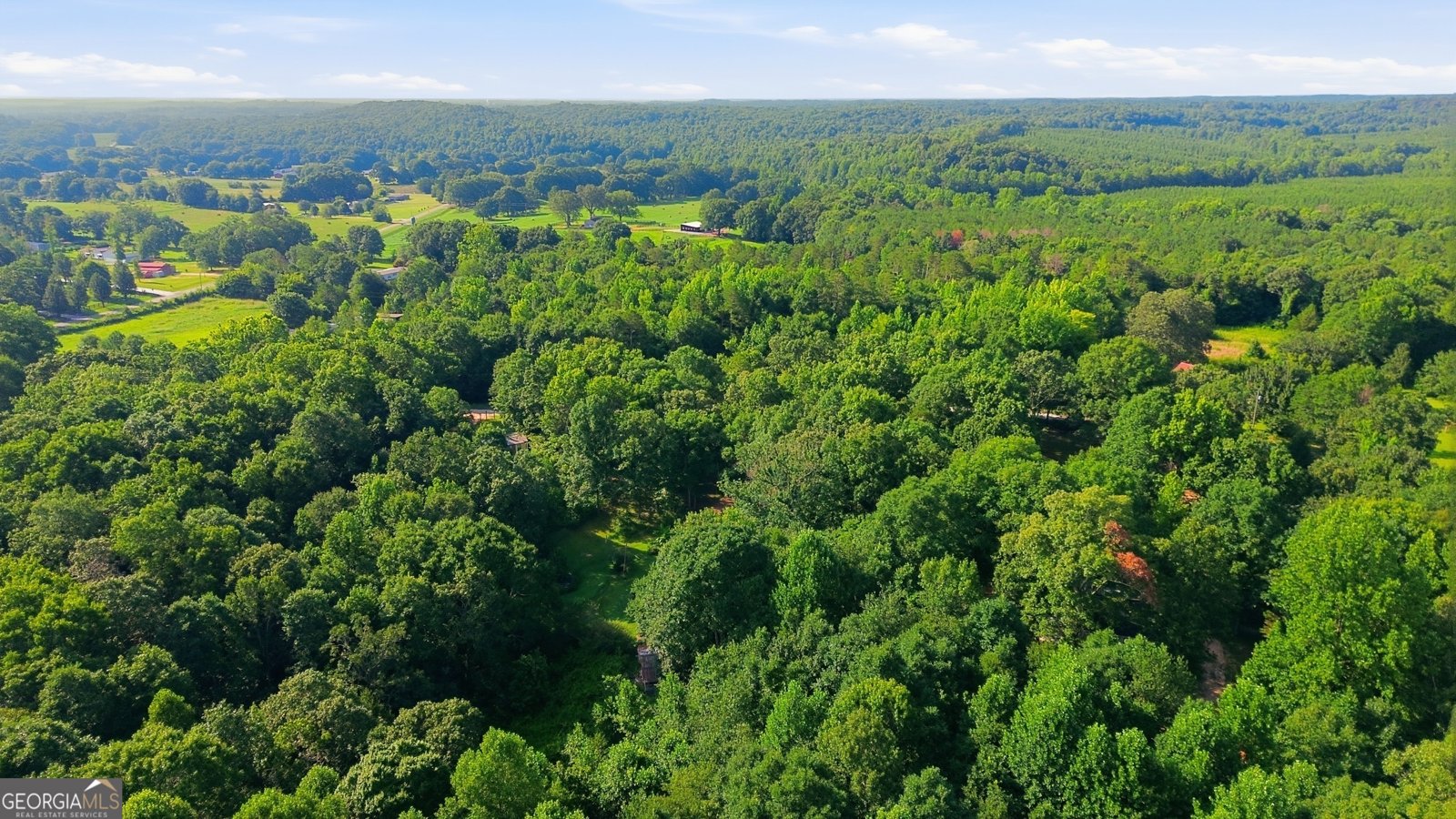 222 Chigger Ridge Road Carnesville - Photo 37