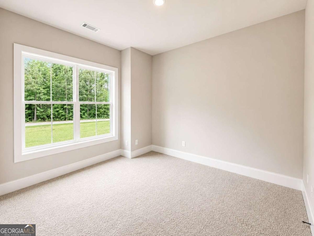 91 LENTEN ROSE Lane Pendergrass - Photo 27
