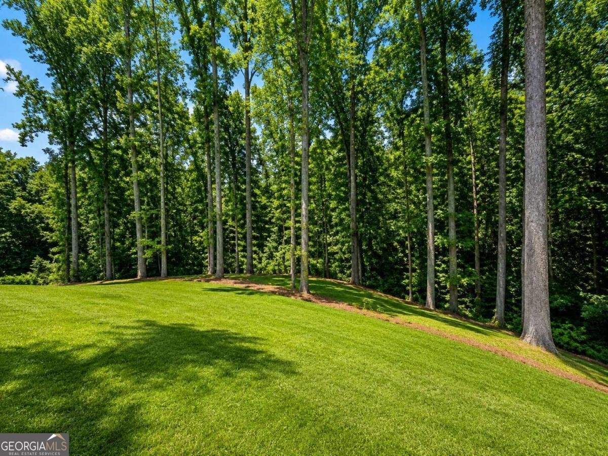 91 LENTEN ROSE Lane Pendergrass - Photo 47