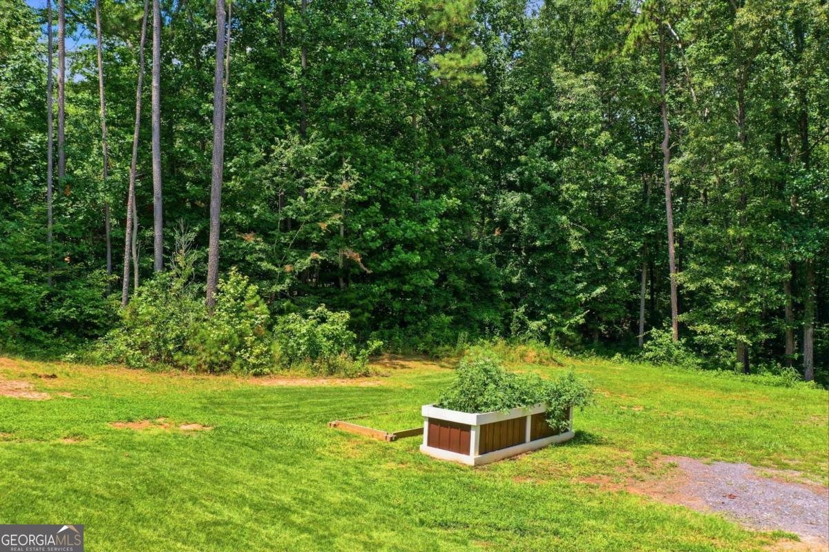 265 Glen Wilkie Trail Ball Ground - Photo 52