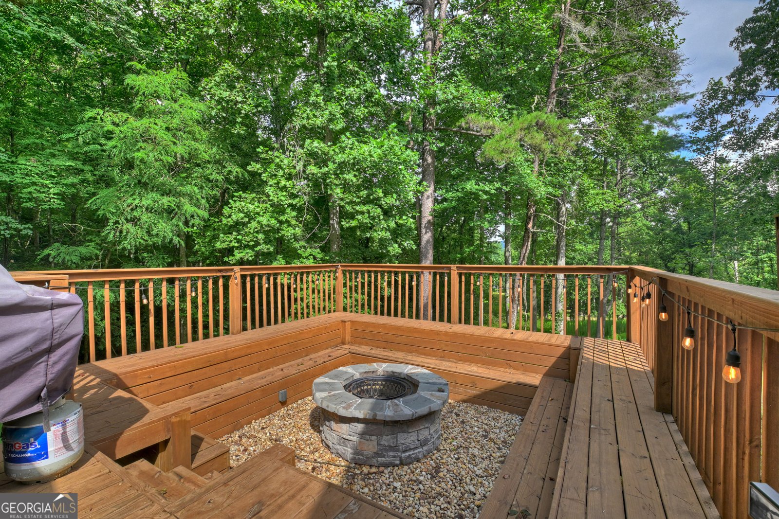 2 Watson Gap Road Mineral Bluff - Photo 23