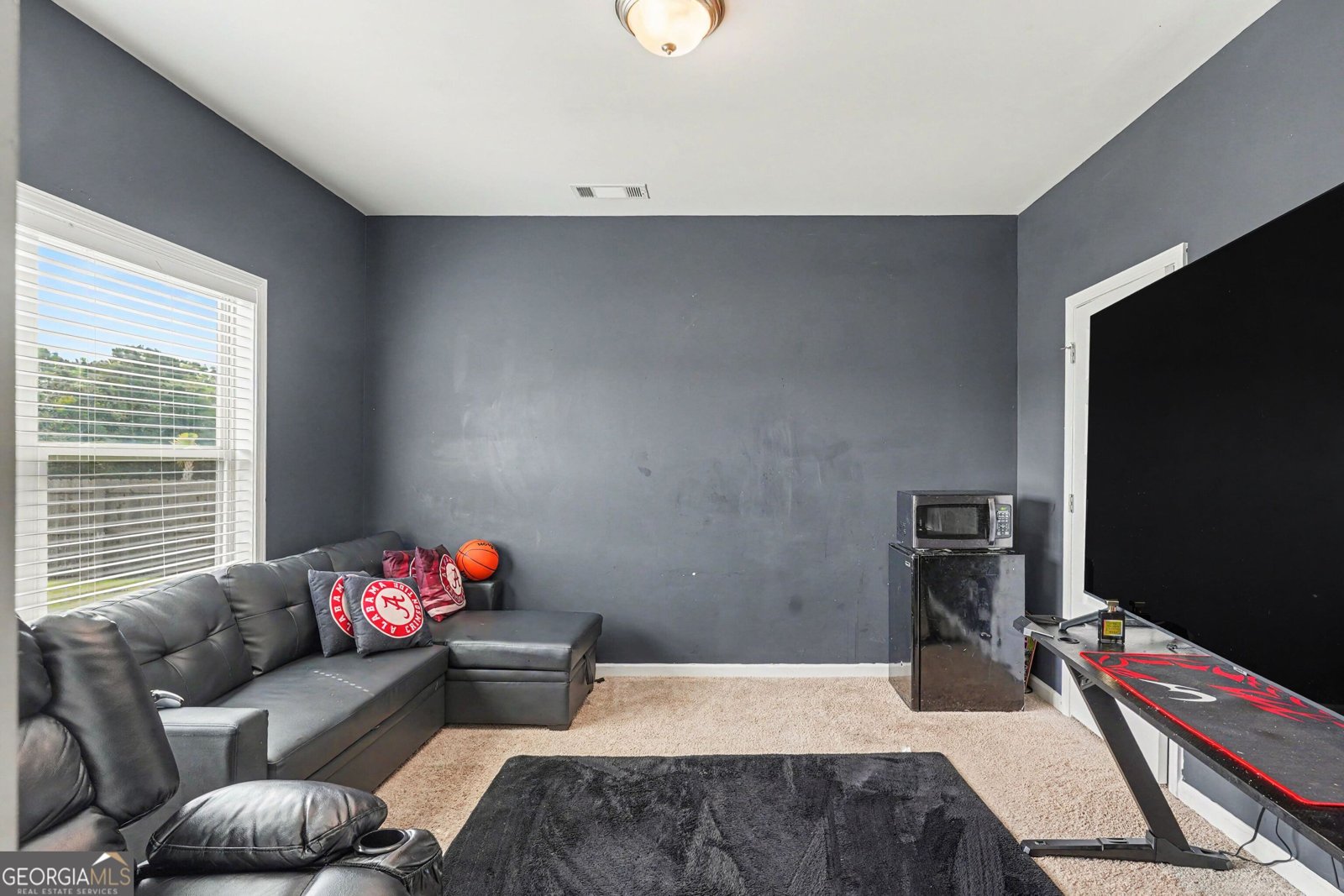 401 Bushell Drive Mcdonough - Photo 11