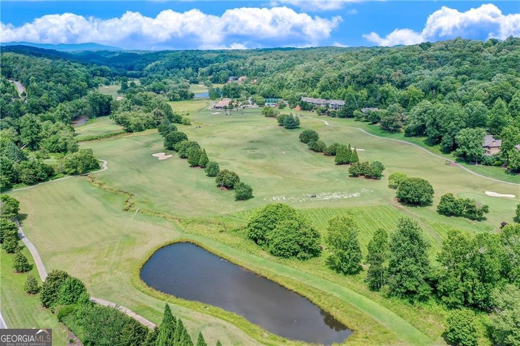 904 Bear Paw Ridge Dahlonega - Photo 63