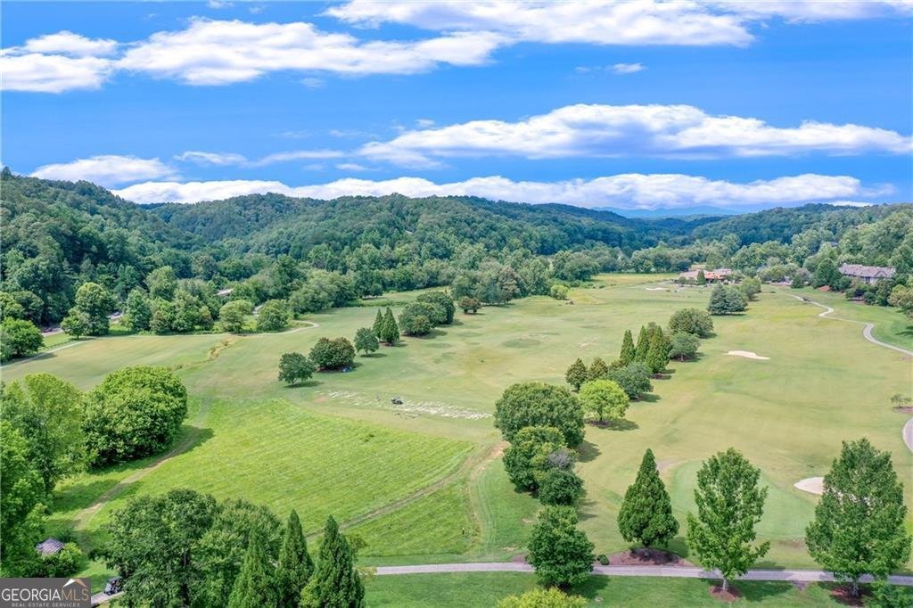 904 Bear Paw Ridge Dahlonega - Photo 70