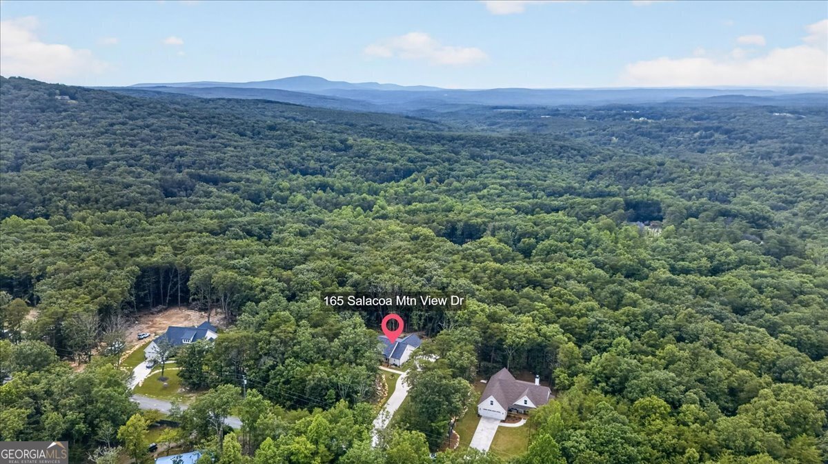 165 Salacoa Mountain View Drive Jasper - Photo 35
