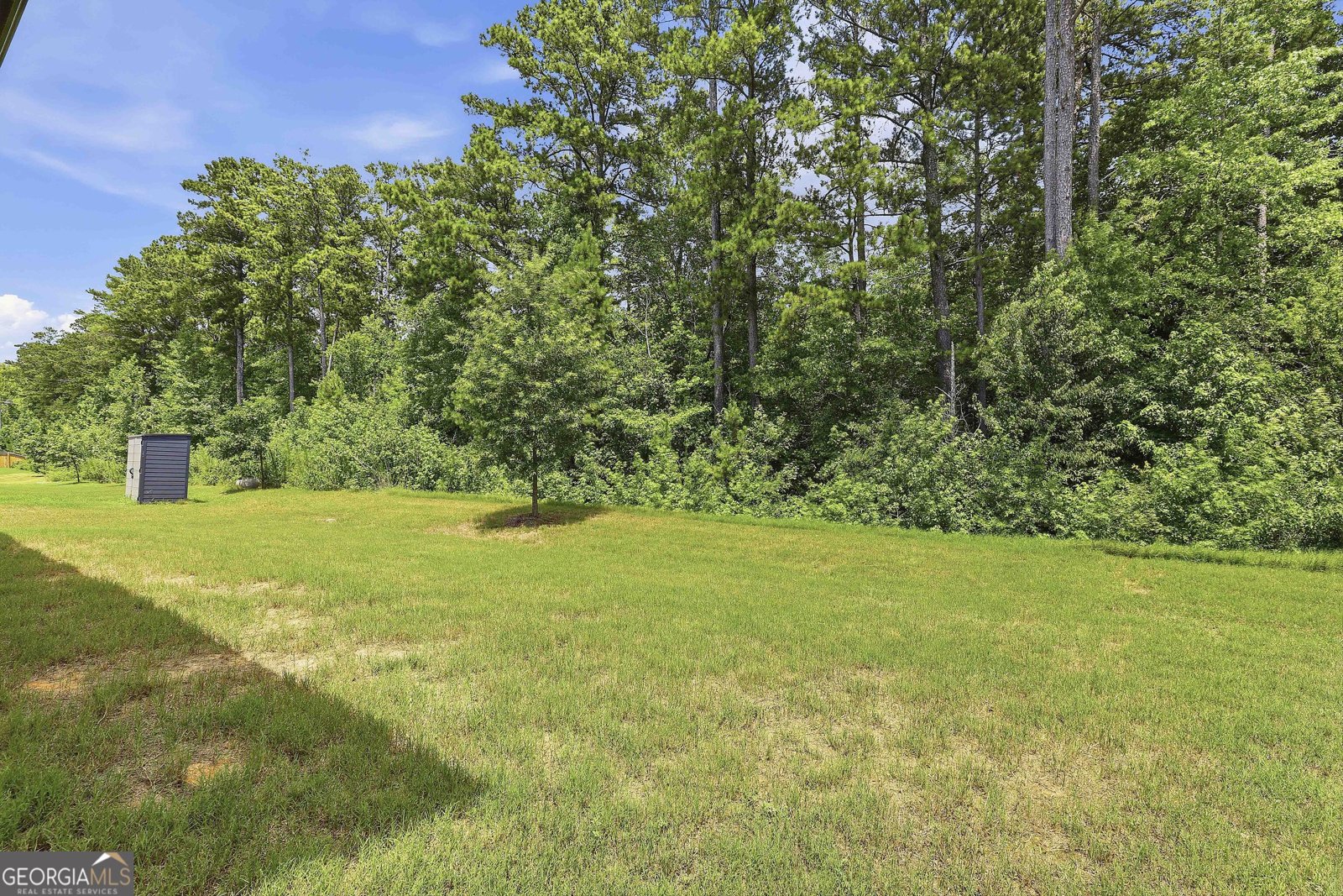 357 Caledonia Court Peachtree City - Photo 41