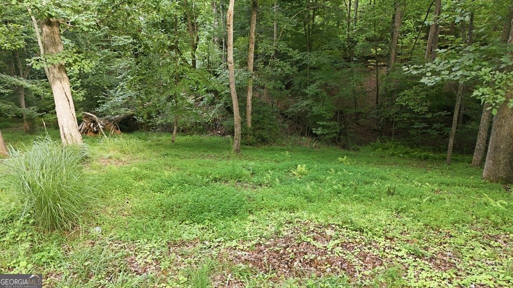 161 Arbor Way Blue Ridge - Photo 22